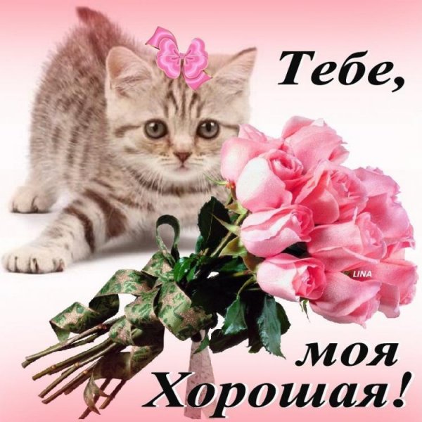 Открытка тебе моя хорошая