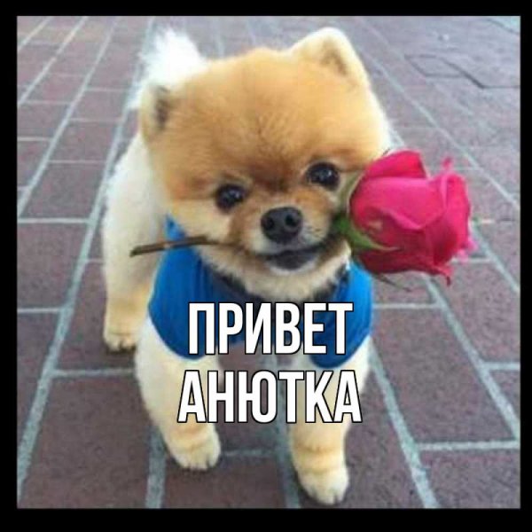 Открытки с добрым утром Аня