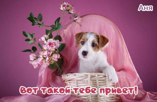 Черный Властелин Анна