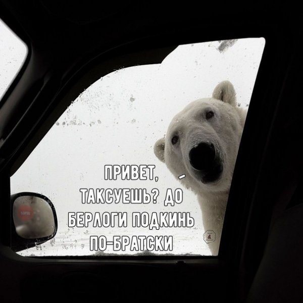Привет автомобилистам