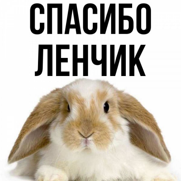 Лена как дела