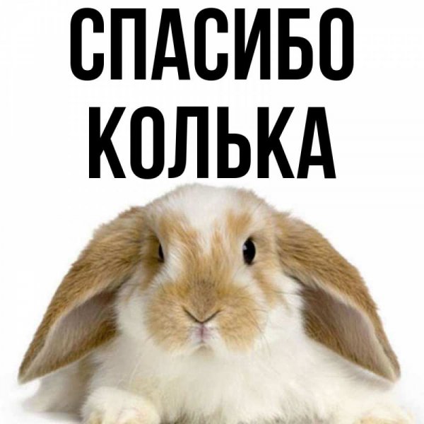 Коля мемы