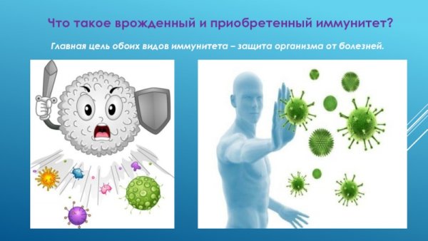 Рисунки на тему иммунитет