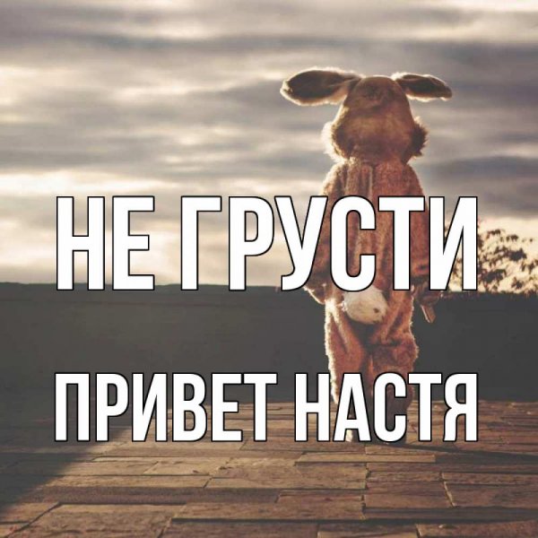 Привет Настя картинки