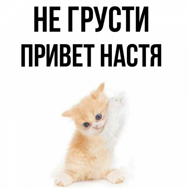 Привет Анастасия