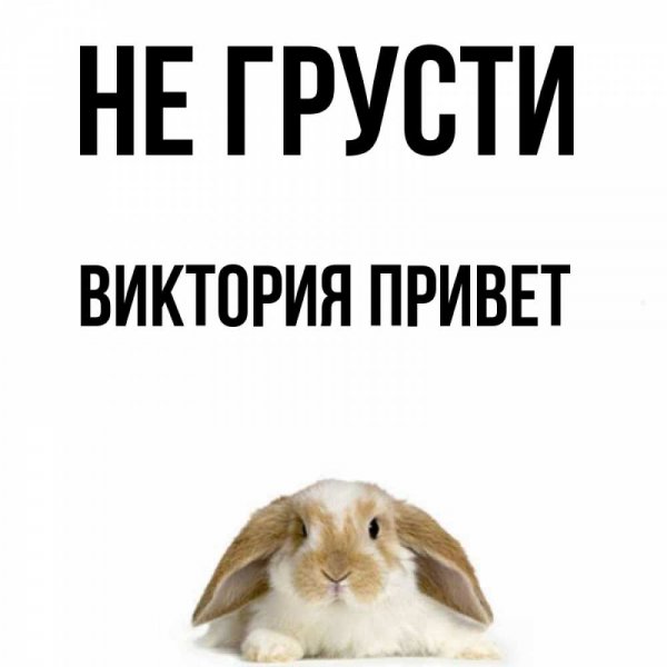 Роза Виктория