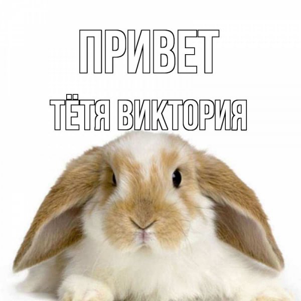 Вика гиф
