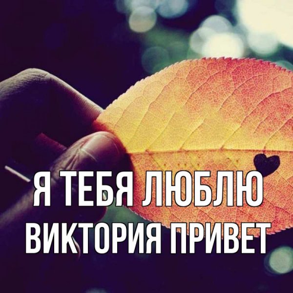 Вика надпись