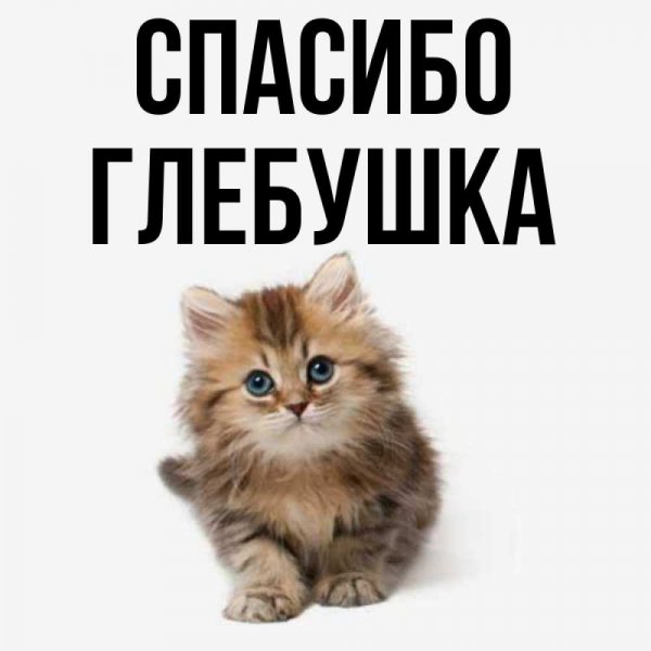 Макс самый лучший