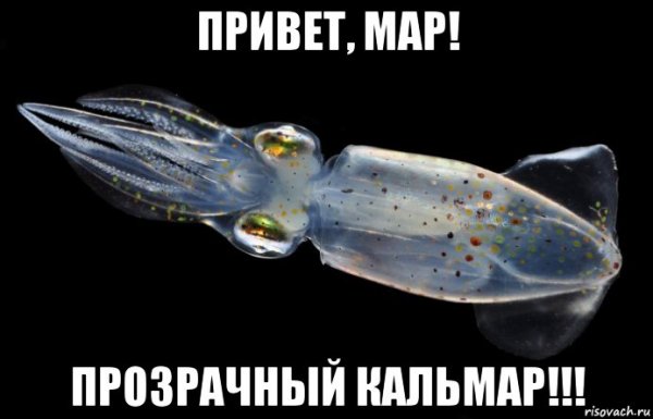 Привет Альбина картинки