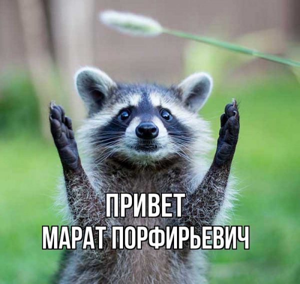 Маму ибаль