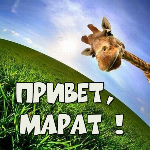 Шутки про Марата