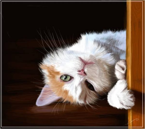 Приветики котики
