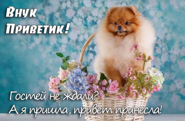 Милые Ёжики художник Марина Федотова