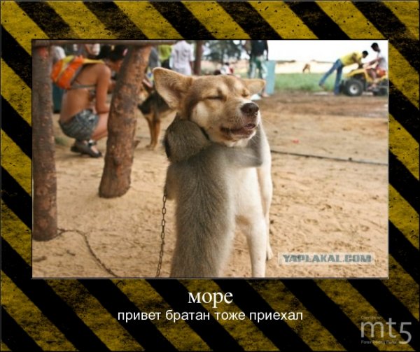 Привет братан картинки