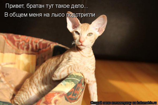 Привет братуха