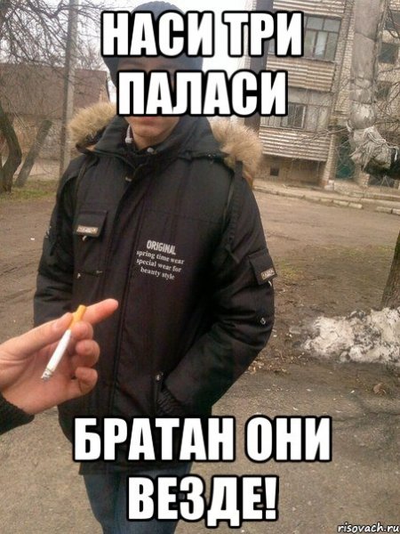 Смешные братаны
