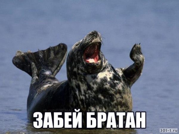Просто забей