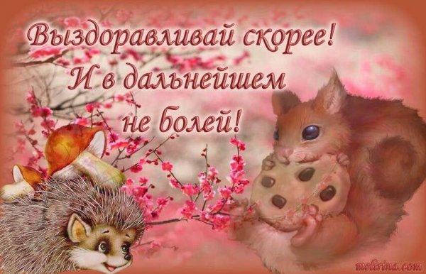 Скорейшего выздоровления