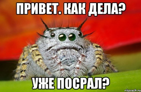 Доброе утро Елена Владимировна