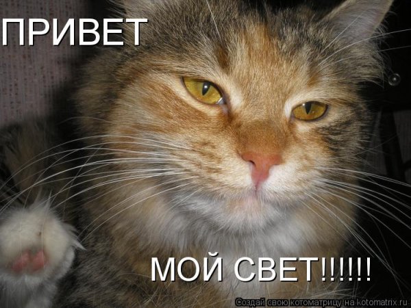 Привет Оксана