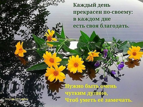 Доброе утро благословенного дня