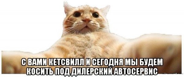 Привет Кирилл