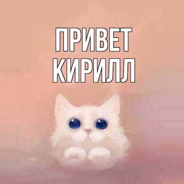 Привет Кирилл Мем