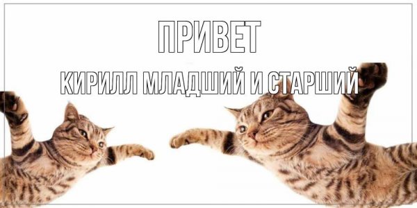 Блогеры с листом бумаги в руках