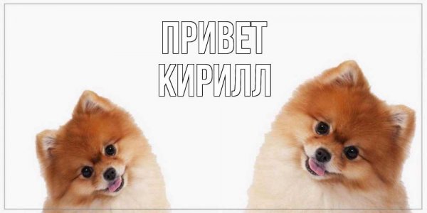 Сигны от МАМИКСА