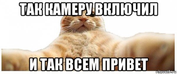 Хай привет