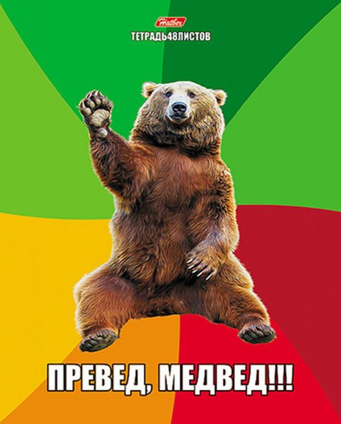 Превед медвед картинка