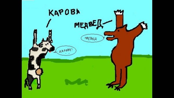 Превед медвед картина