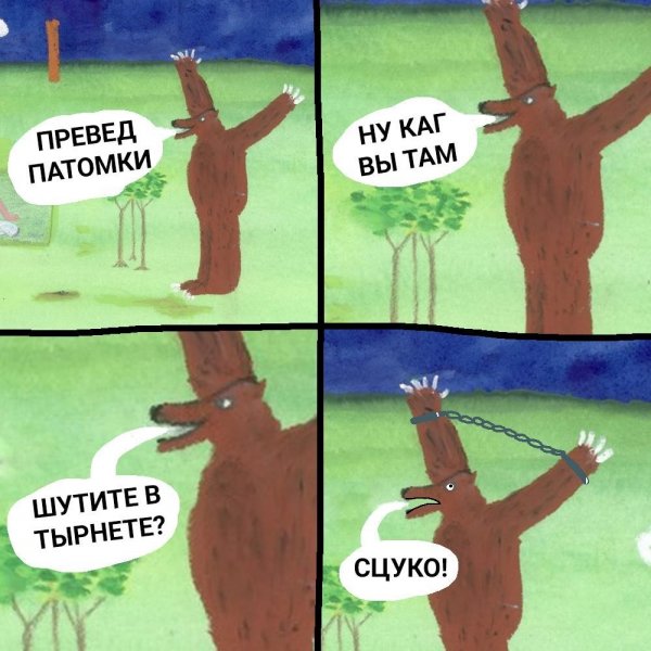 Медведь превед