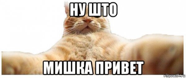 Доброе утро Мишаня