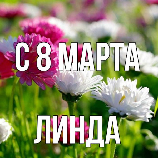 Анджела и том 18