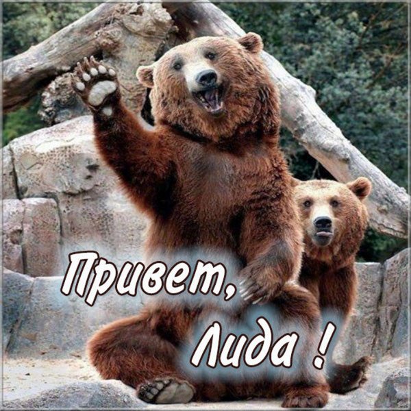 Открытки с приветом к Лидочке