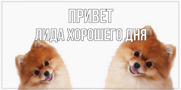 Цветы для Лиды