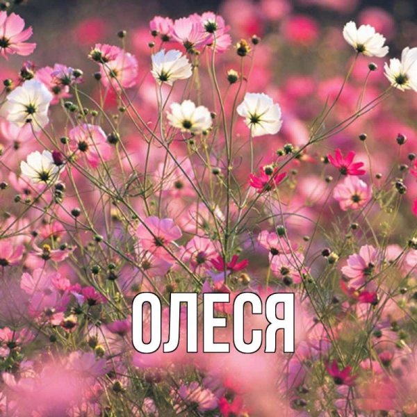 Аня и Лера