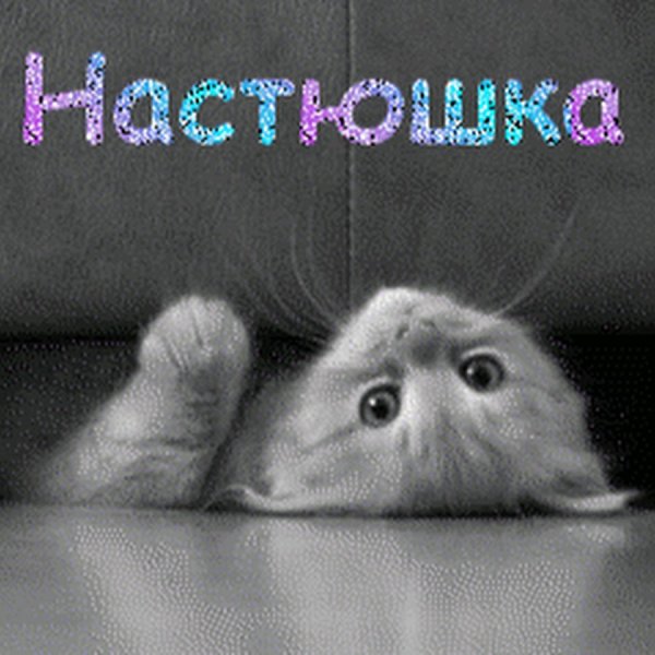 Ксюша картинки