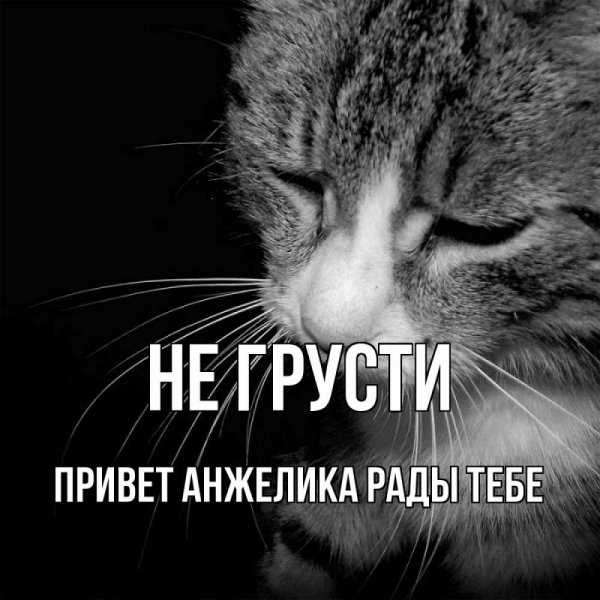 Привет Анжелика