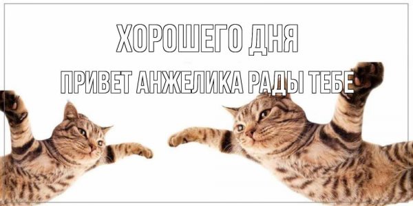 Привет Анжелика картинки