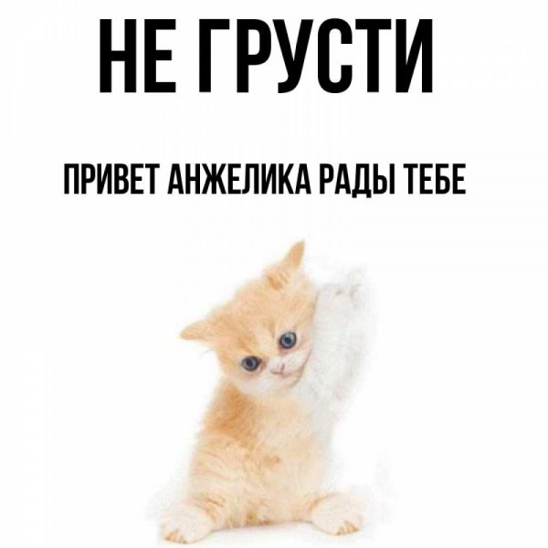 Привет Анжелика