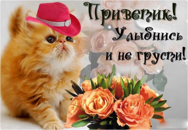 Приветик хорошего дня и настроения