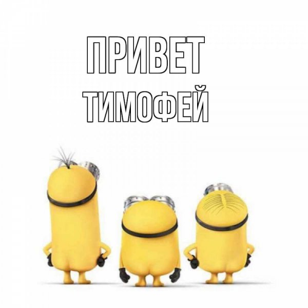 Шутки про имя Тимофей