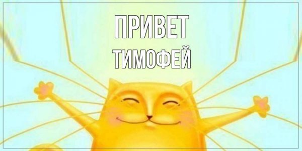 Миша черный Властелин