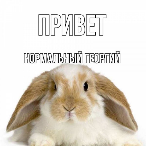 Поздравляю с 11 месяцами