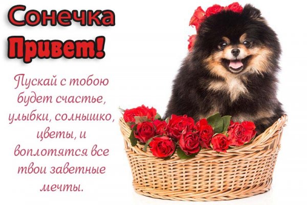 Привет Диана