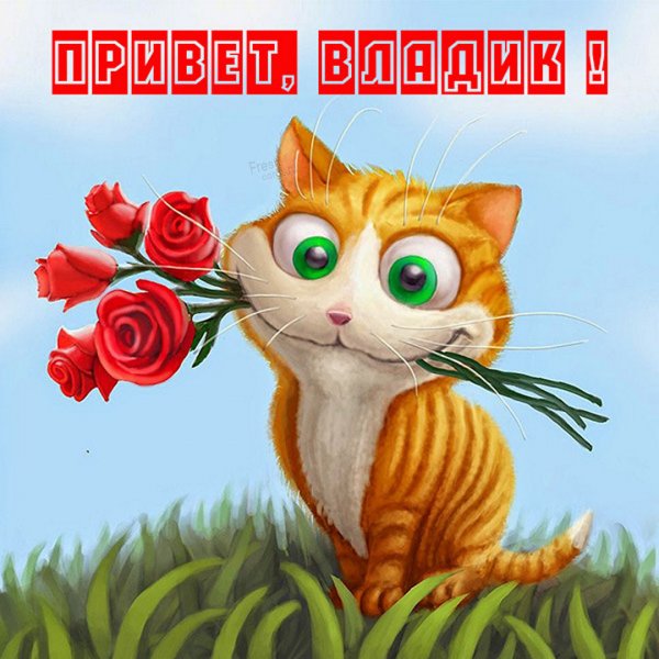 Ботан Мем