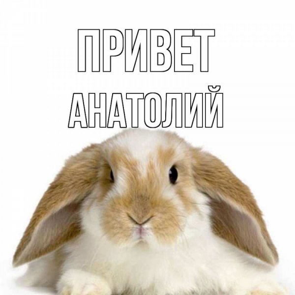 Привет Любаша